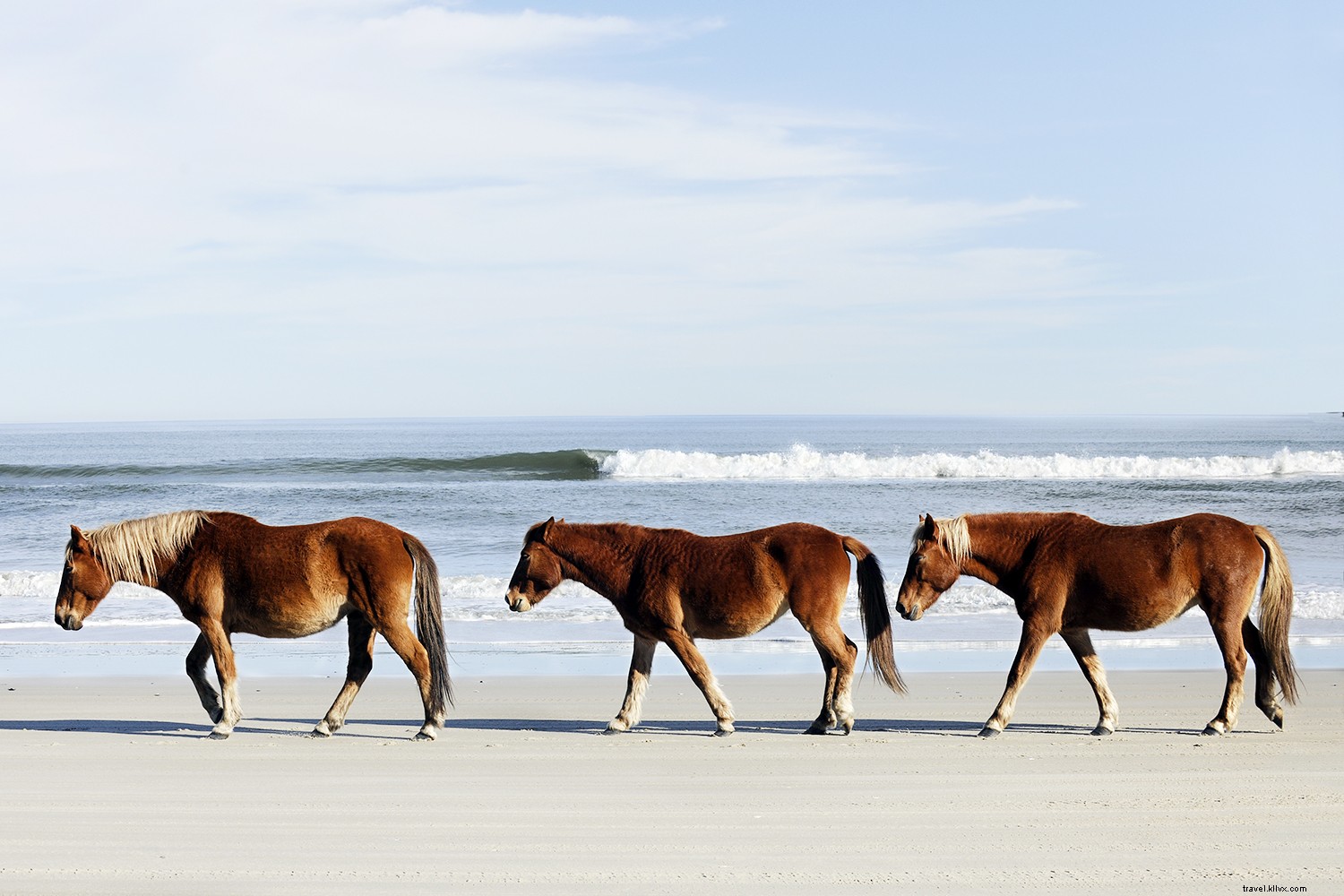 12 Stunning U.S. Beaches to Visit: No Passport Required