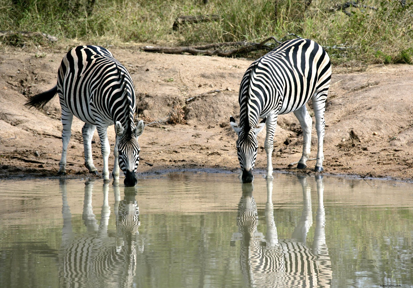 6 Unforgettable Souvenirs and Experiences from South Africa