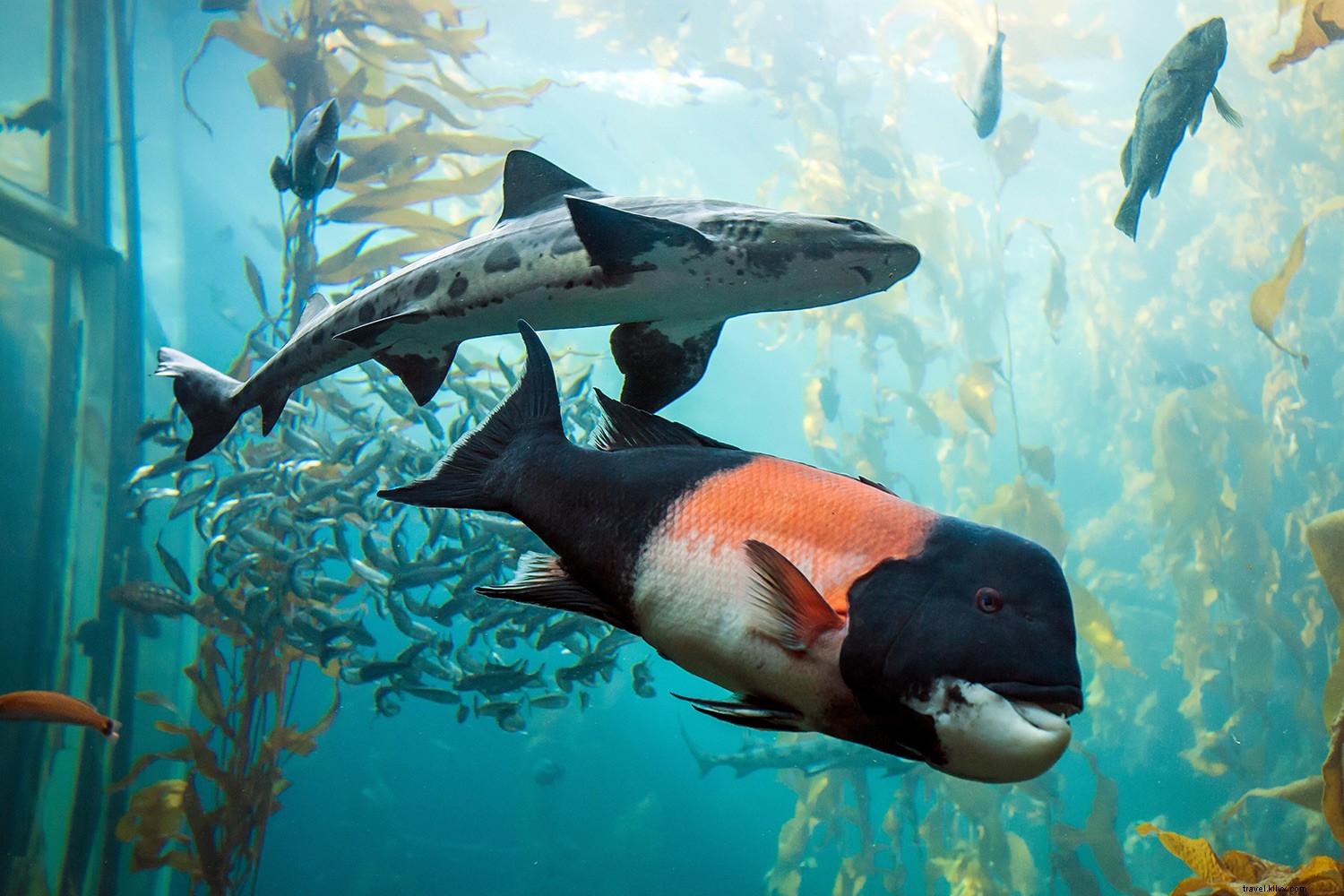 20 Iconic Destinations: Stunning Virtual Tours You Can Explore from Home