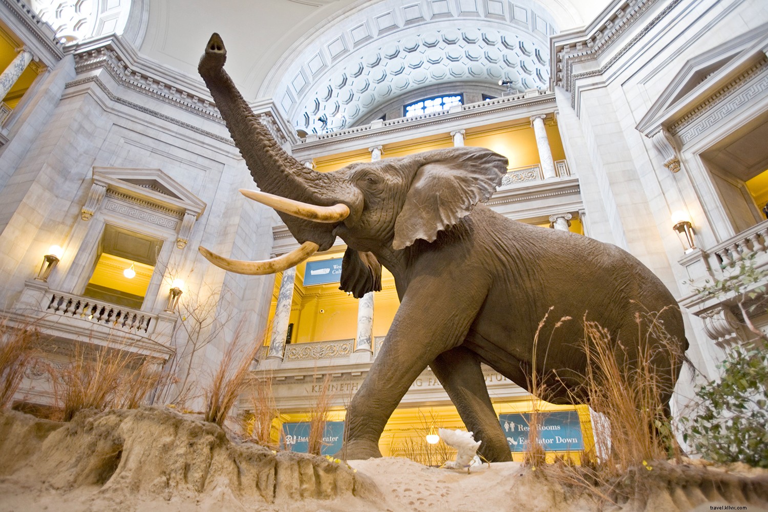 20 Iconic Destinations: Stunning Virtual Tours You Can Explore from Home