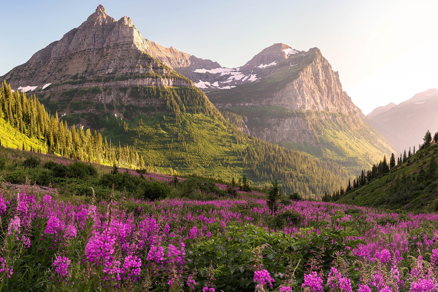 Explore 12 Iconic U.S. National Parks Virtually: Stunning Digital Tours