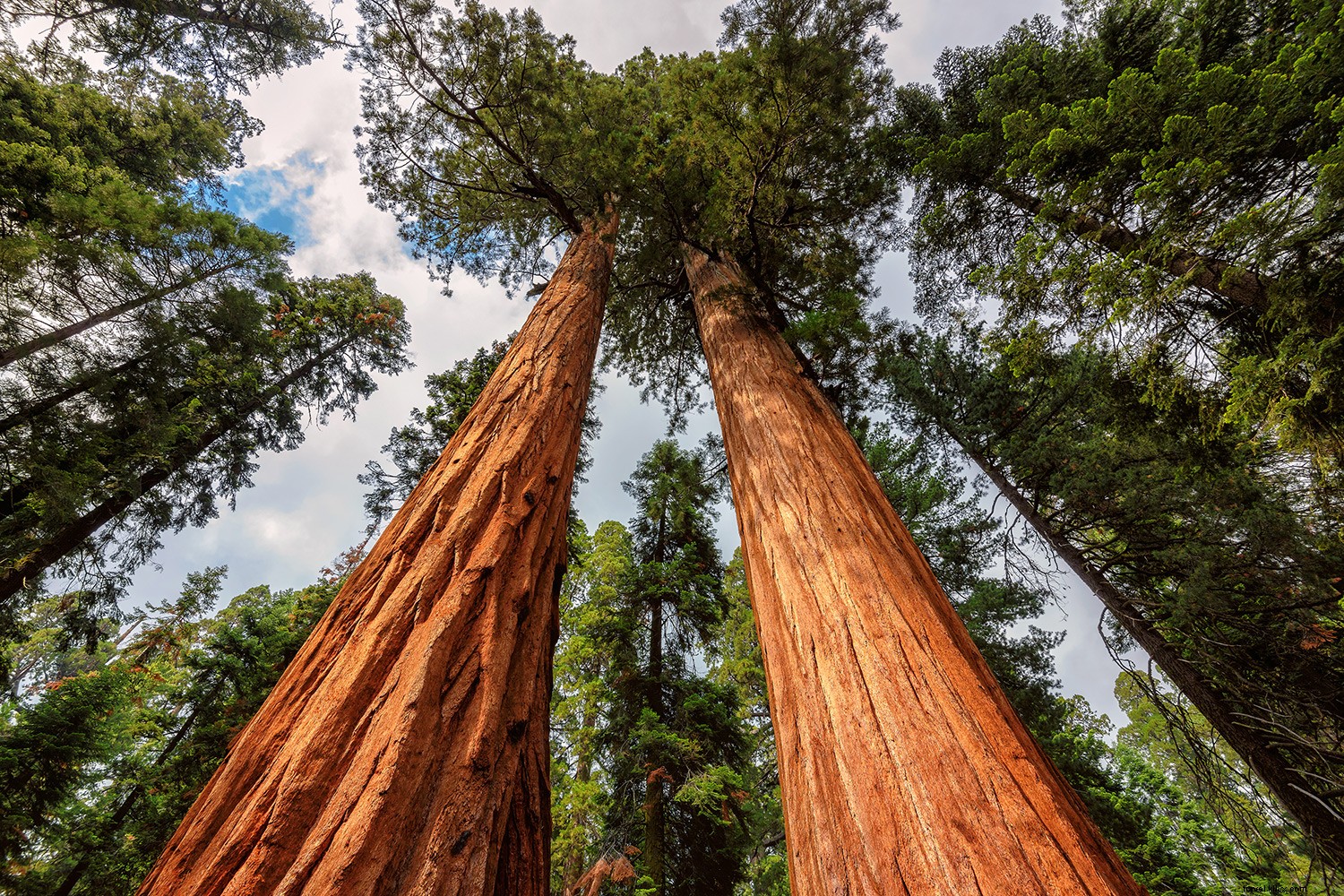 Explore 12 Iconic U.S. National Parks Virtually: Stunning Digital Tours