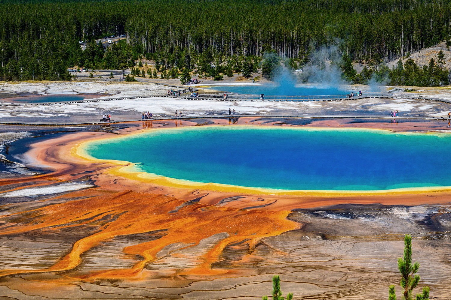 Explore 12 Iconic U.S. National Parks Virtually: Stunning Digital Tours