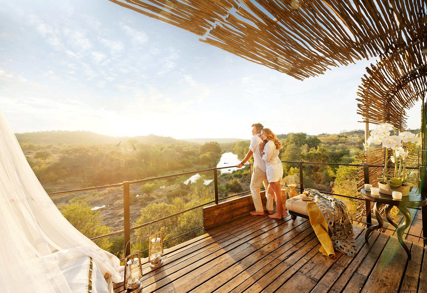 South Africa Safari Guide: Essential Tips, Best Reserves, and What to Expect