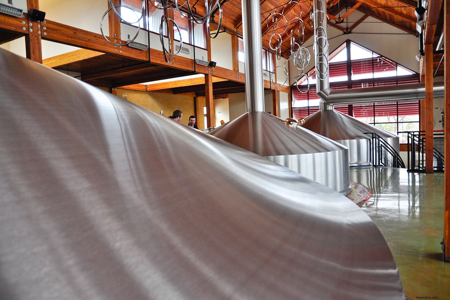 Top 8 Must-Visit College Towns in the U.S.: History, Culture, and Culinary Gems