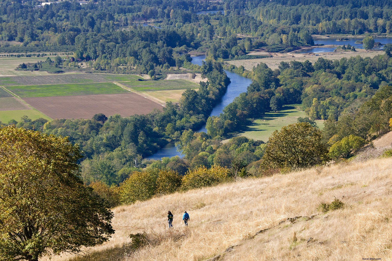 Top 8 Must-Visit College Towns in the U.S.: History, Culture, and Culinary Gems