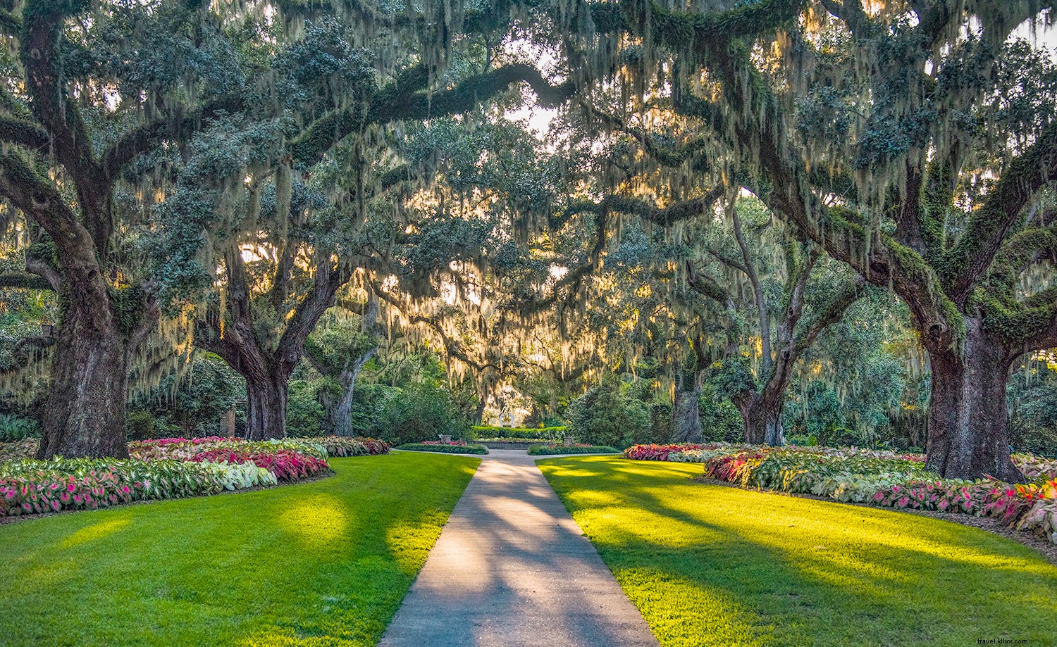 Why Myrtle Beach Should Top Your Spring Travel List in South Carolina