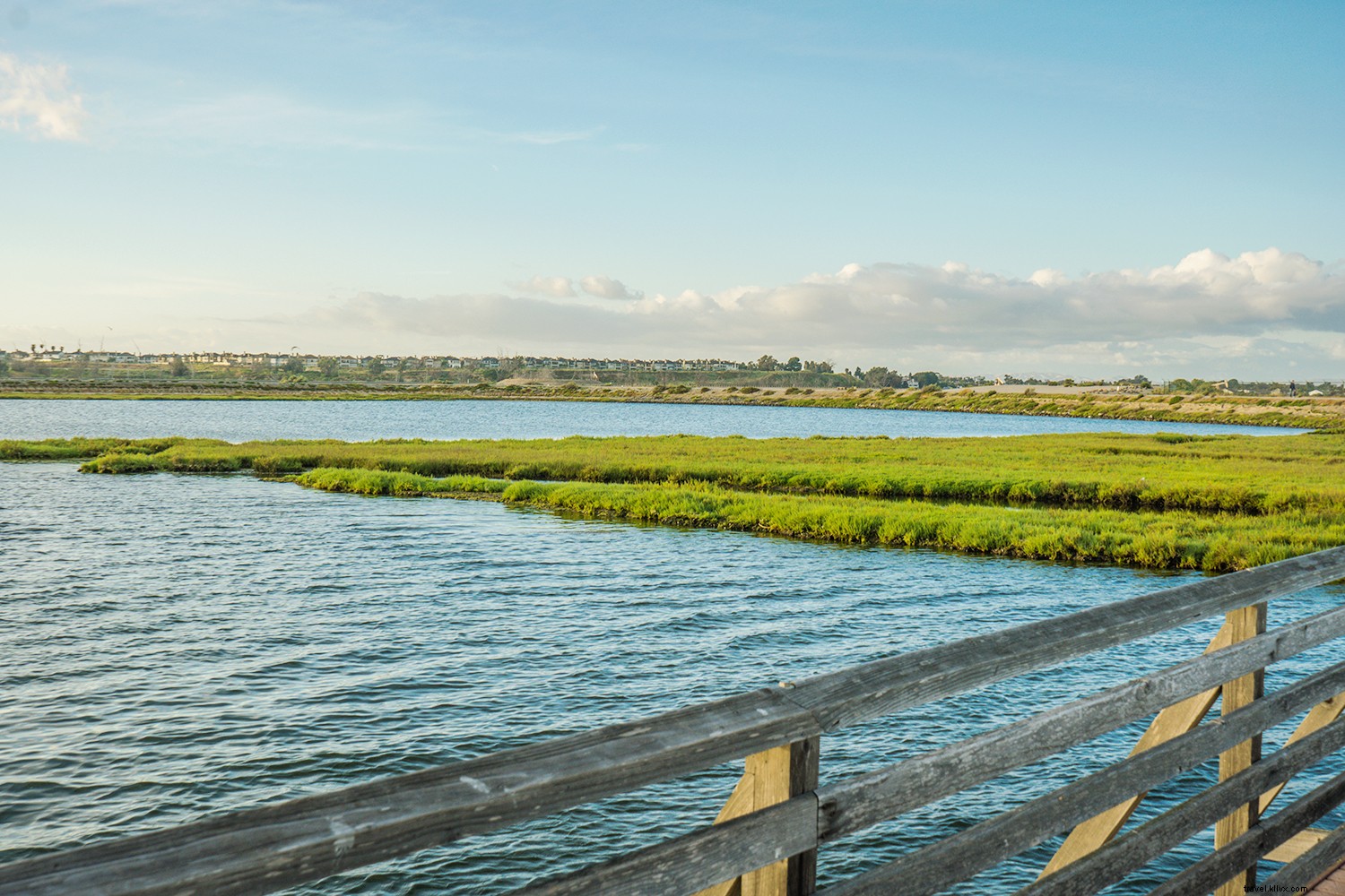 Why Myrtle Beach Should Top Your Spring Travel List in South Carolina