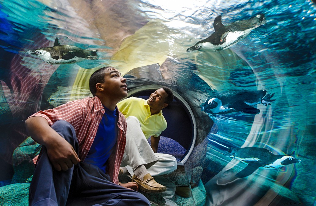 Why Myrtle Beach Should Top Your Spring Travel List in South Carolina