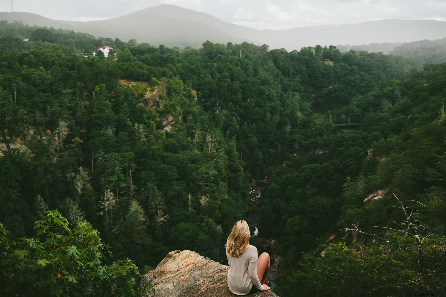 Why Georgia is Truly on Everyone s Mind: Outdoor Wonders, Culinary Gems, History, and Hollywood Hotspots