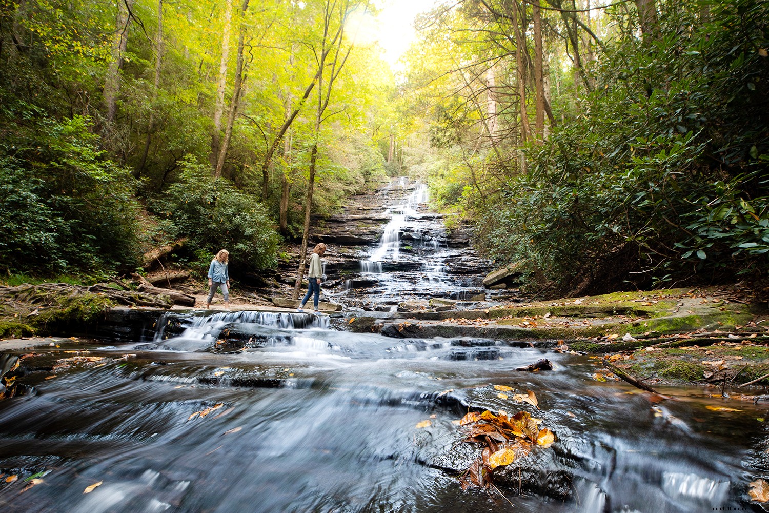 Why Georgia is Truly on Everyone s Mind: Outdoor Wonders, Culinary Gems, History, and Hollywood Hotspots