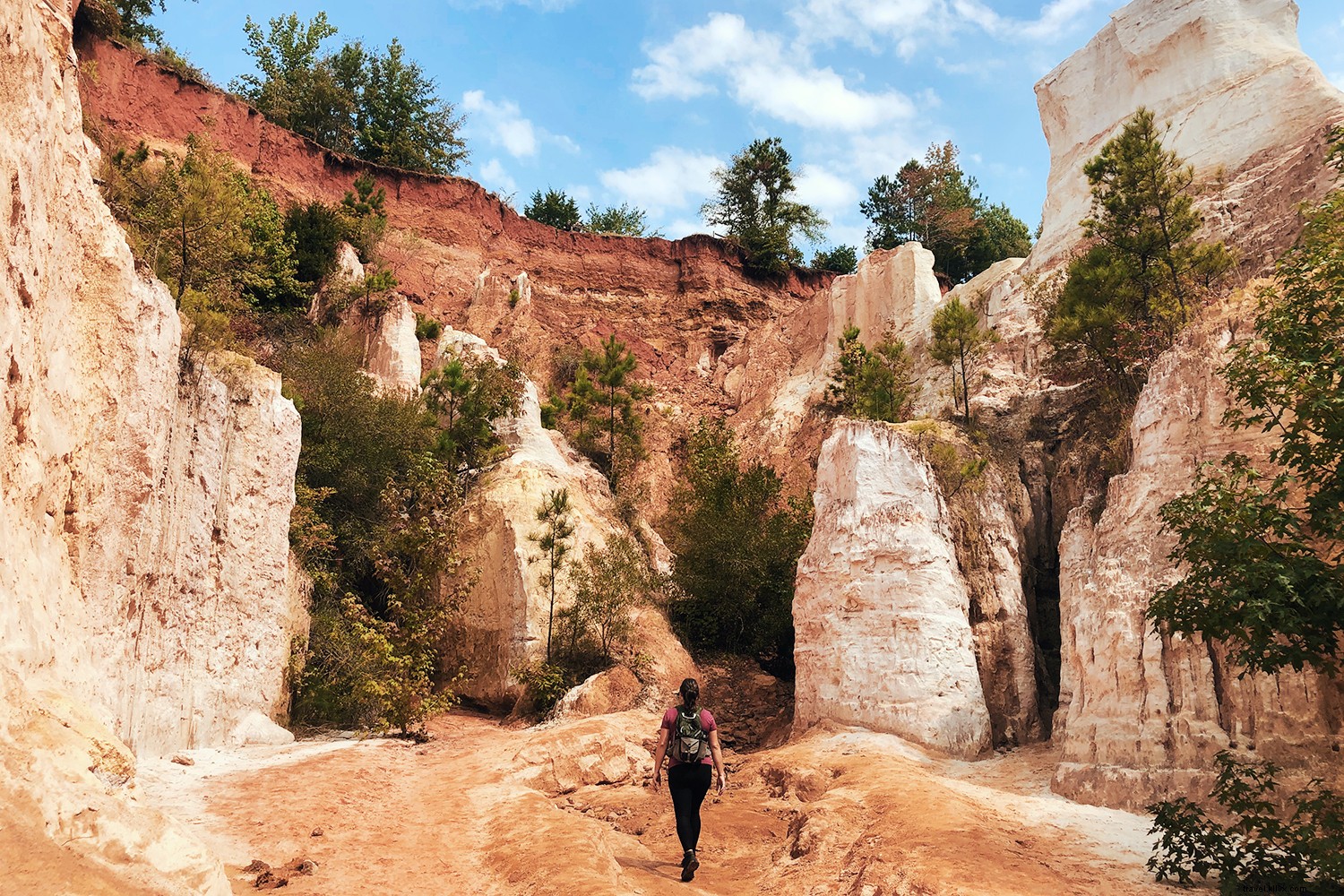 Why Georgia is Truly on Everyone s Mind: Outdoor Wonders, Culinary Gems, History, and Hollywood Hotspots