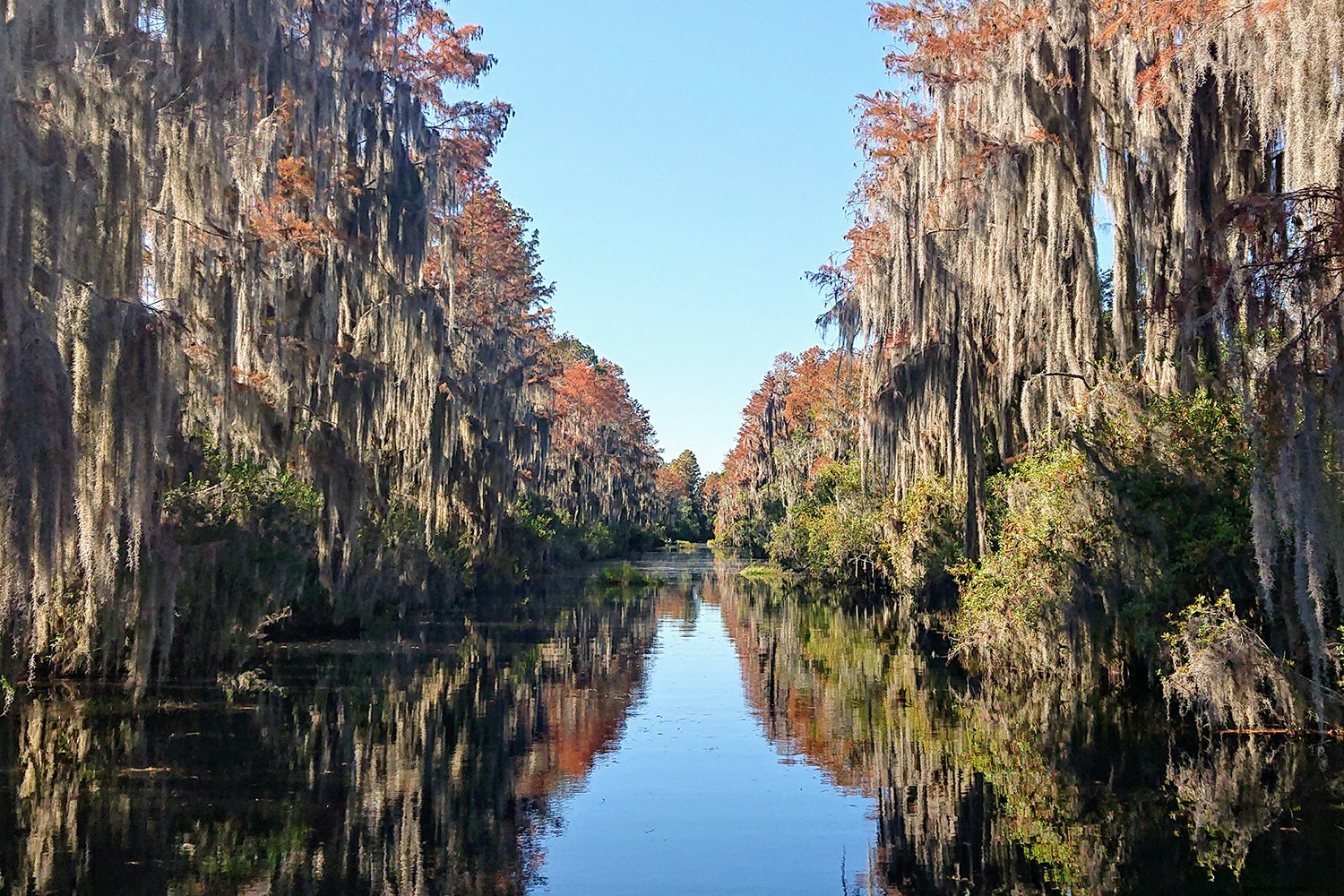 Why Georgia is Truly on Everyone s Mind: Outdoor Wonders, Culinary Gems, History, and Hollywood Hotspots