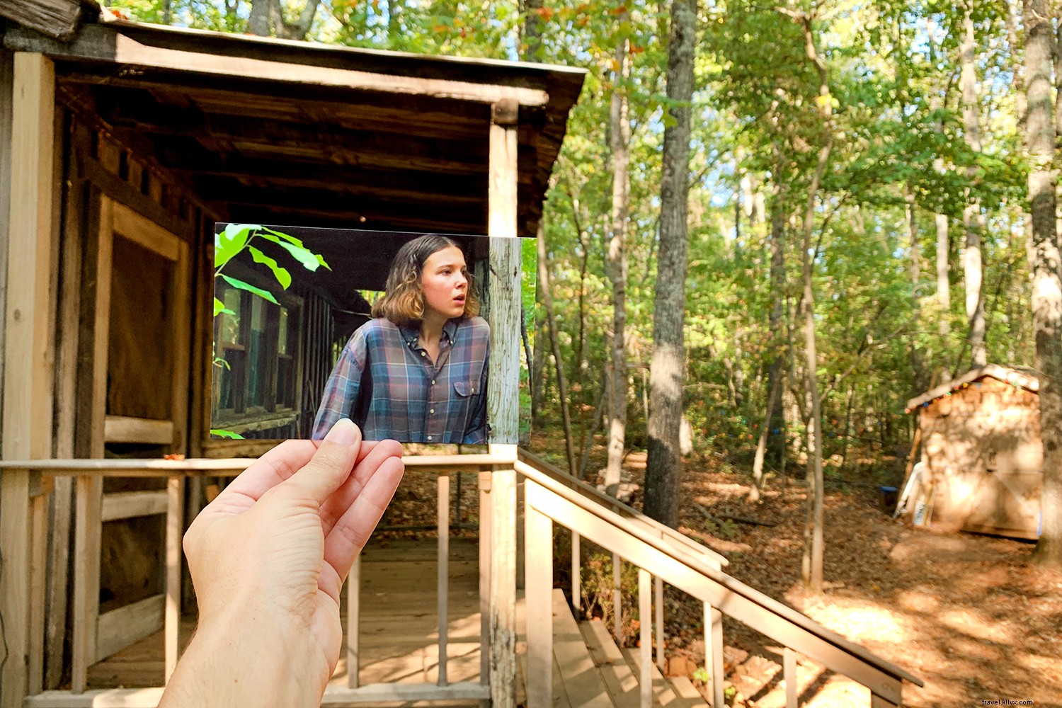 Why Georgia is Truly on Everyone s Mind: Outdoor Wonders, Culinary Gems, History, and Hollywood Hotspots