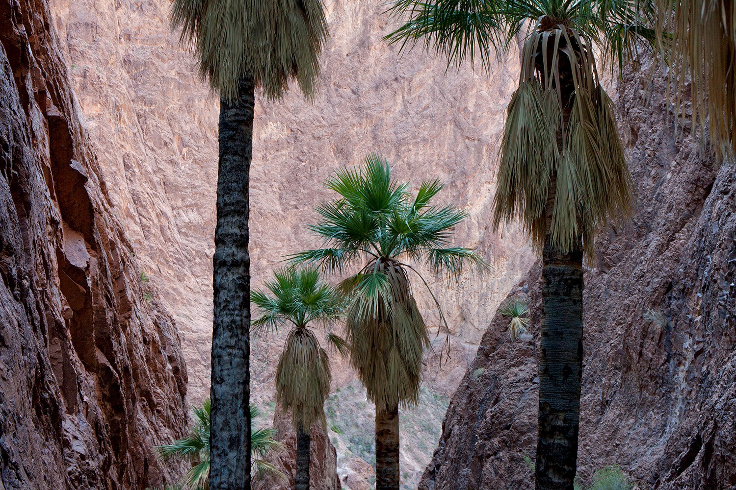 Ultimate Guide to Arizona Spring Training: Top Activities Beyond the Ballpark