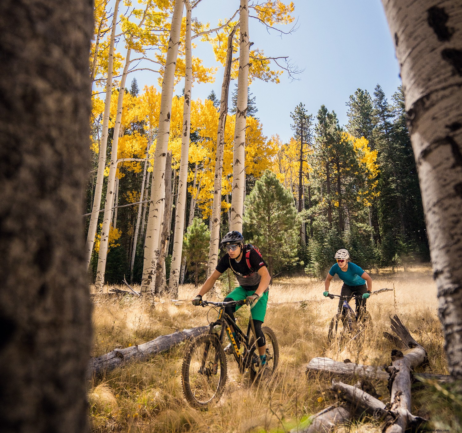 Ultimate Guide to Arizona Spring Training: Top Activities Beyond the Ballpark