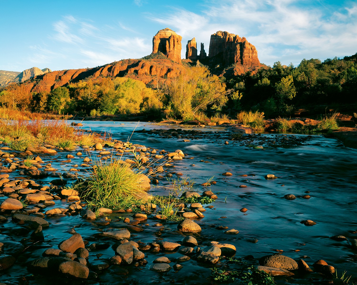 Ultimate Guide to Arizona Spring Training: Top Activities Beyond the Ballpark