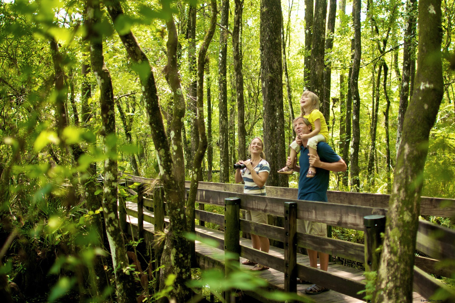 Discover Fort Myers & Sanibel: Florida s Premier Natural Beach Retreat