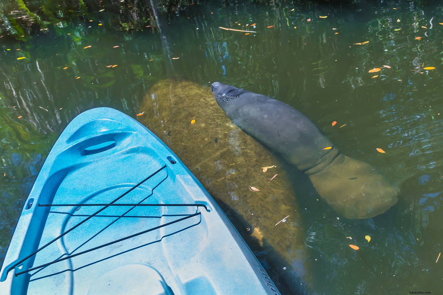 Discover Fort Myers & Sanibel: Florida s Premier Natural Beach Retreat