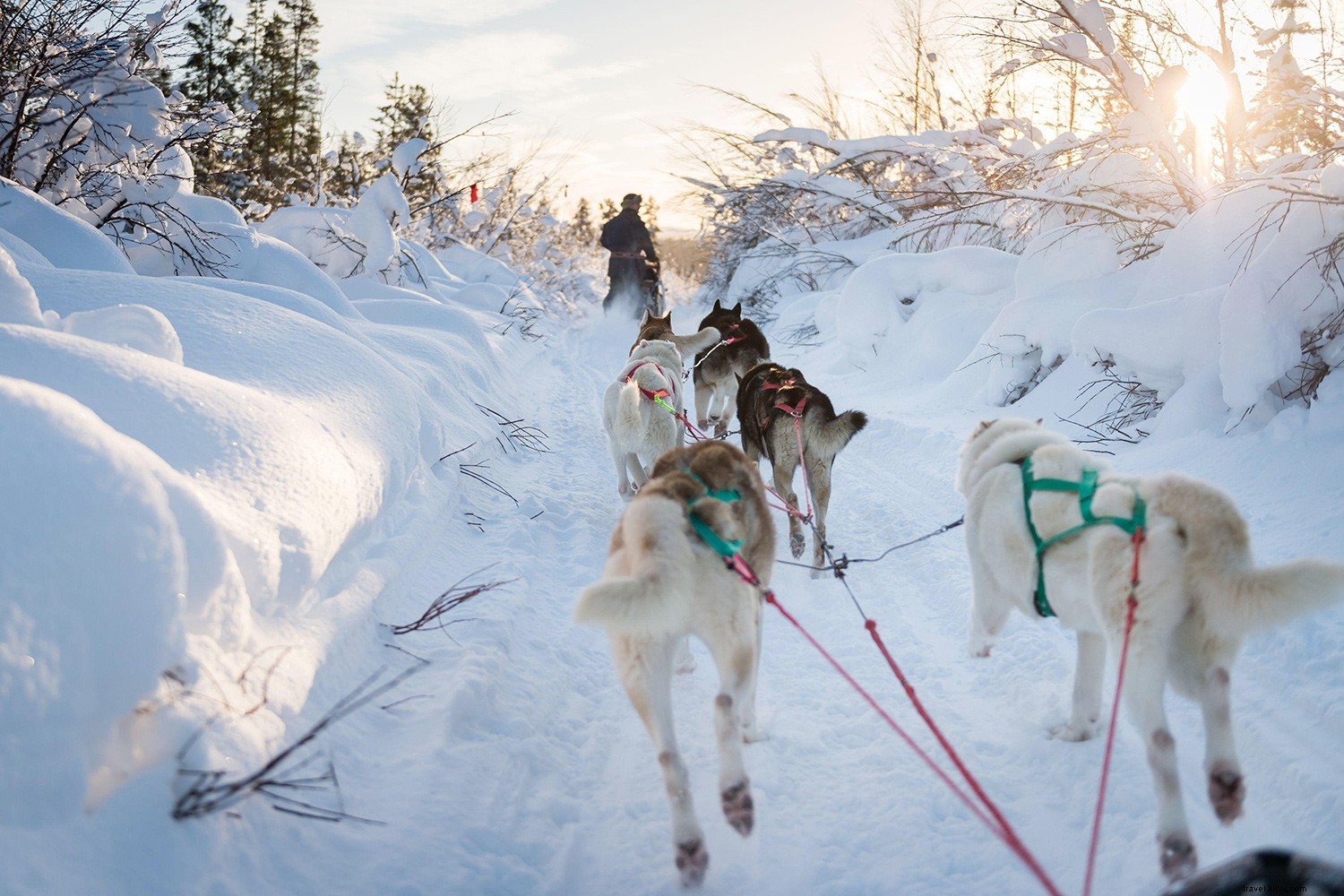 20 Expert-Recommended Top Travel Destinations for 2020