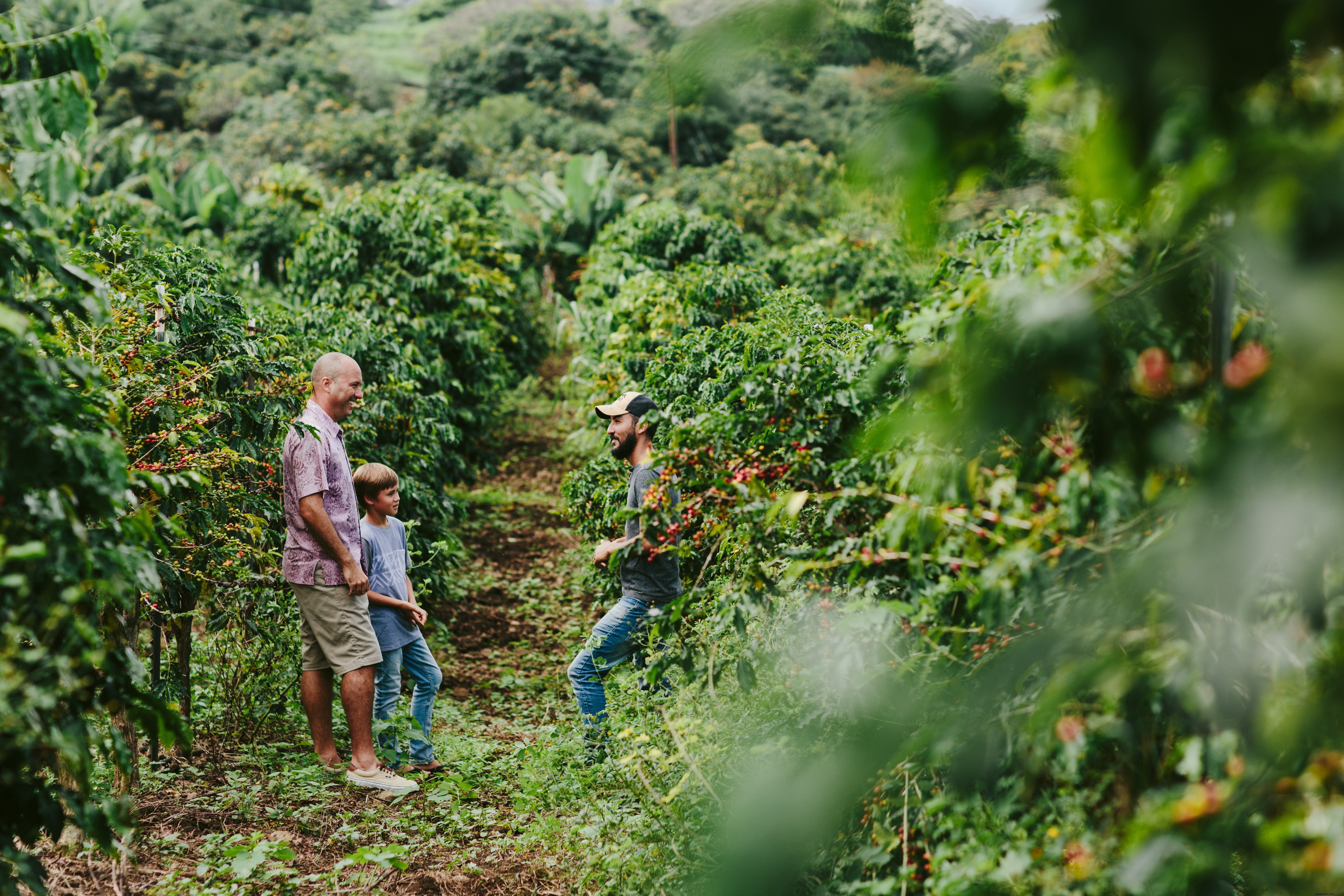 Luxury End-of-Year Escapes: Extraordinary Global Adventures