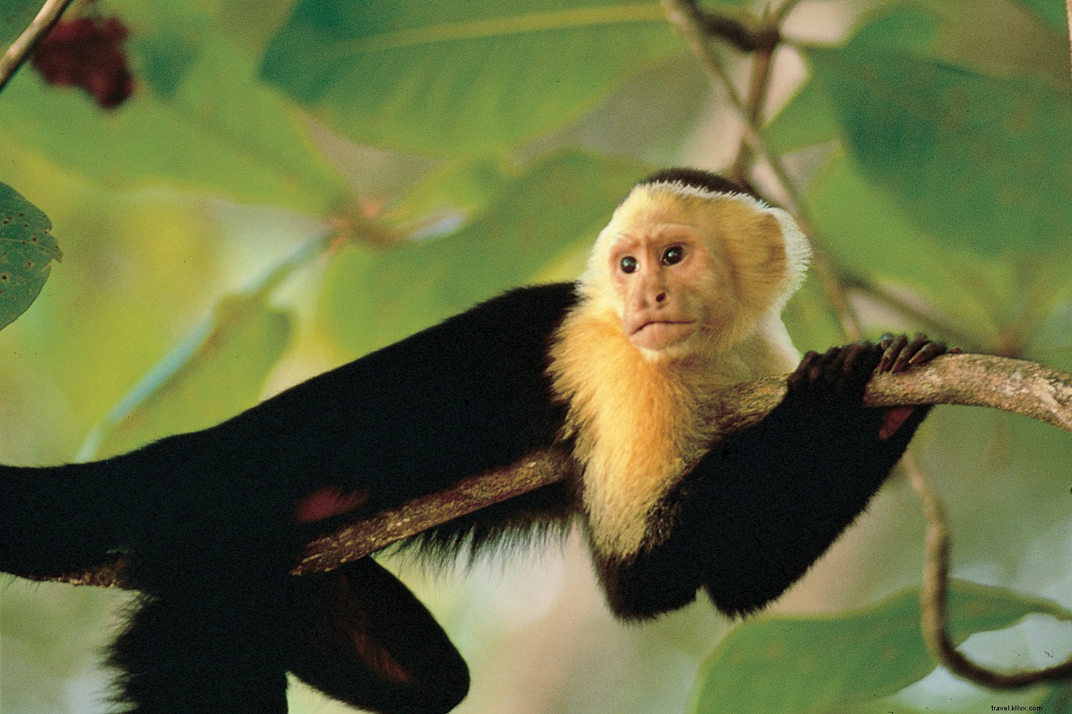 Discover Road Scholar s Premier Grandparent-Grandchild Adventures: STEM, Nature, Culture, and Culinary Delights