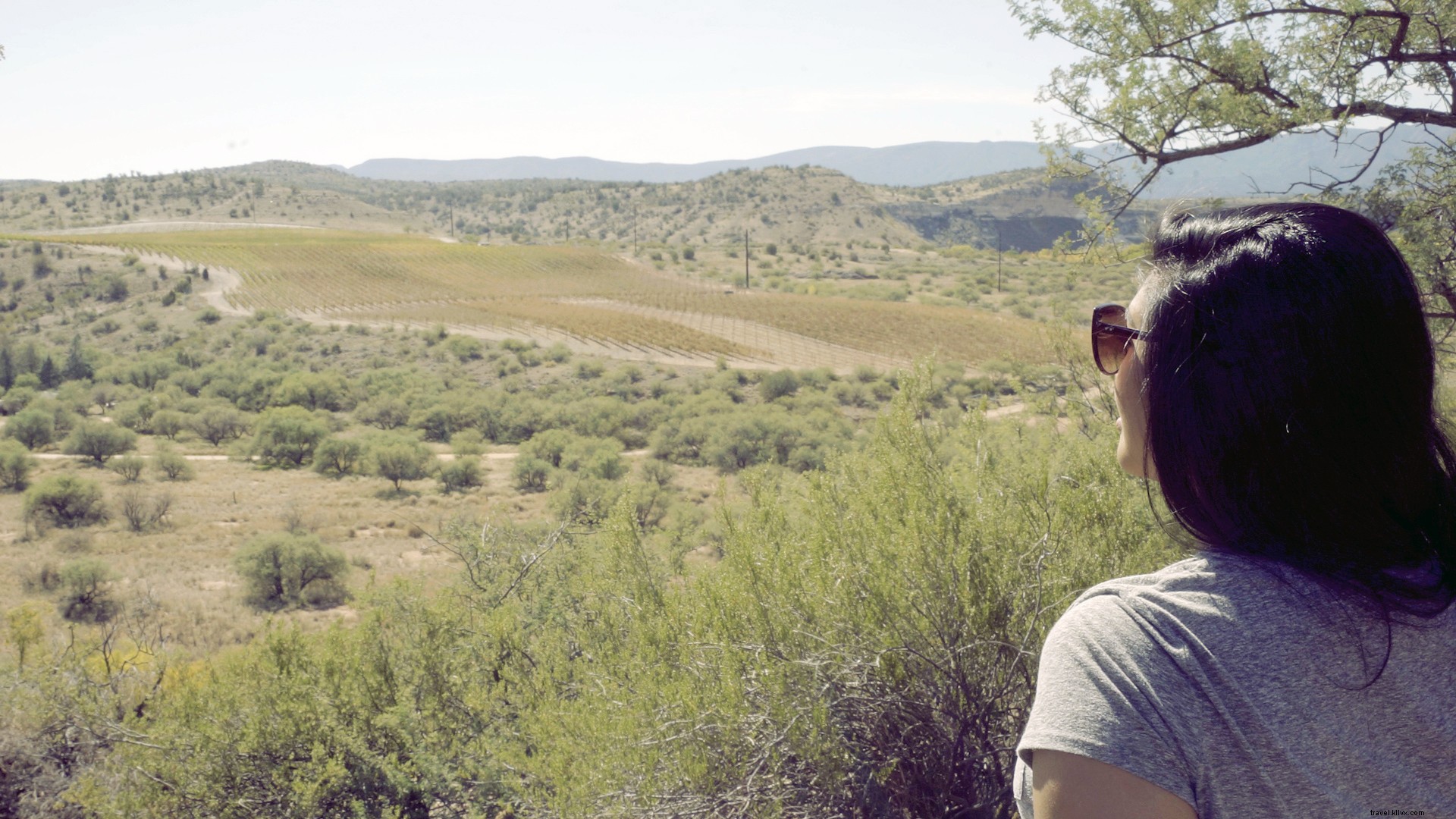 Ultimate 7-Day Arizona Road Trip: Phoenix to Grand Canyon and Beyond