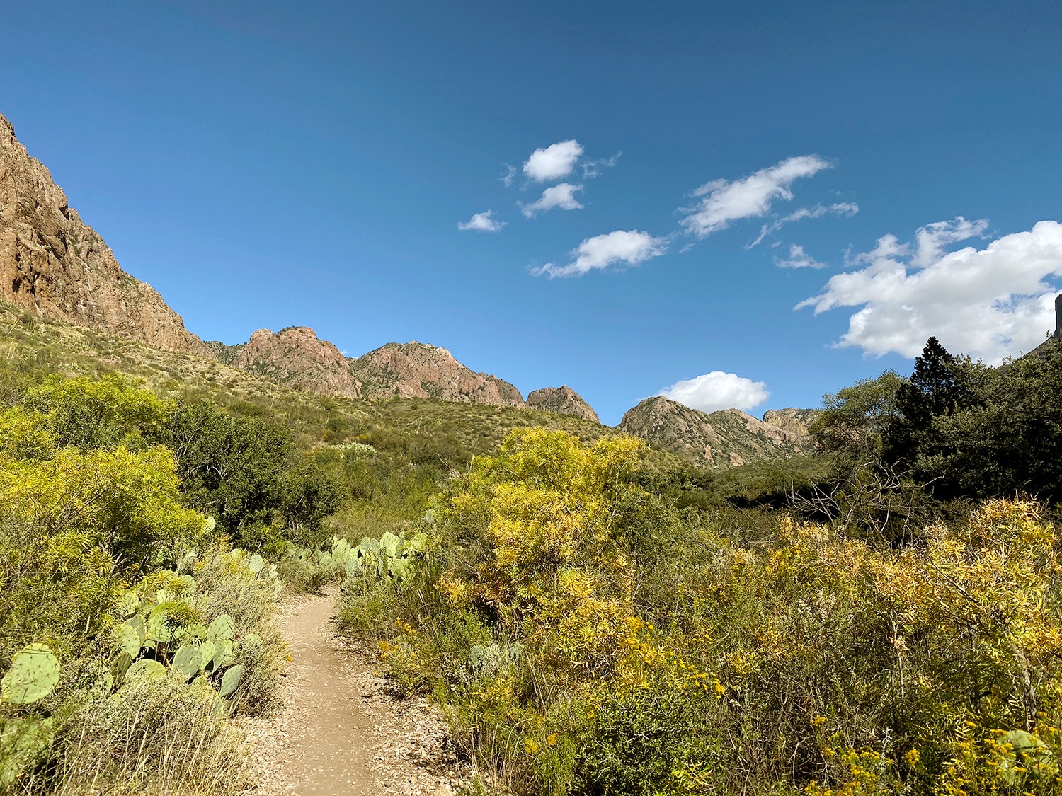 Top Last-Minute Fall Getaways: Premier Autumn Escapes for Every Traveler