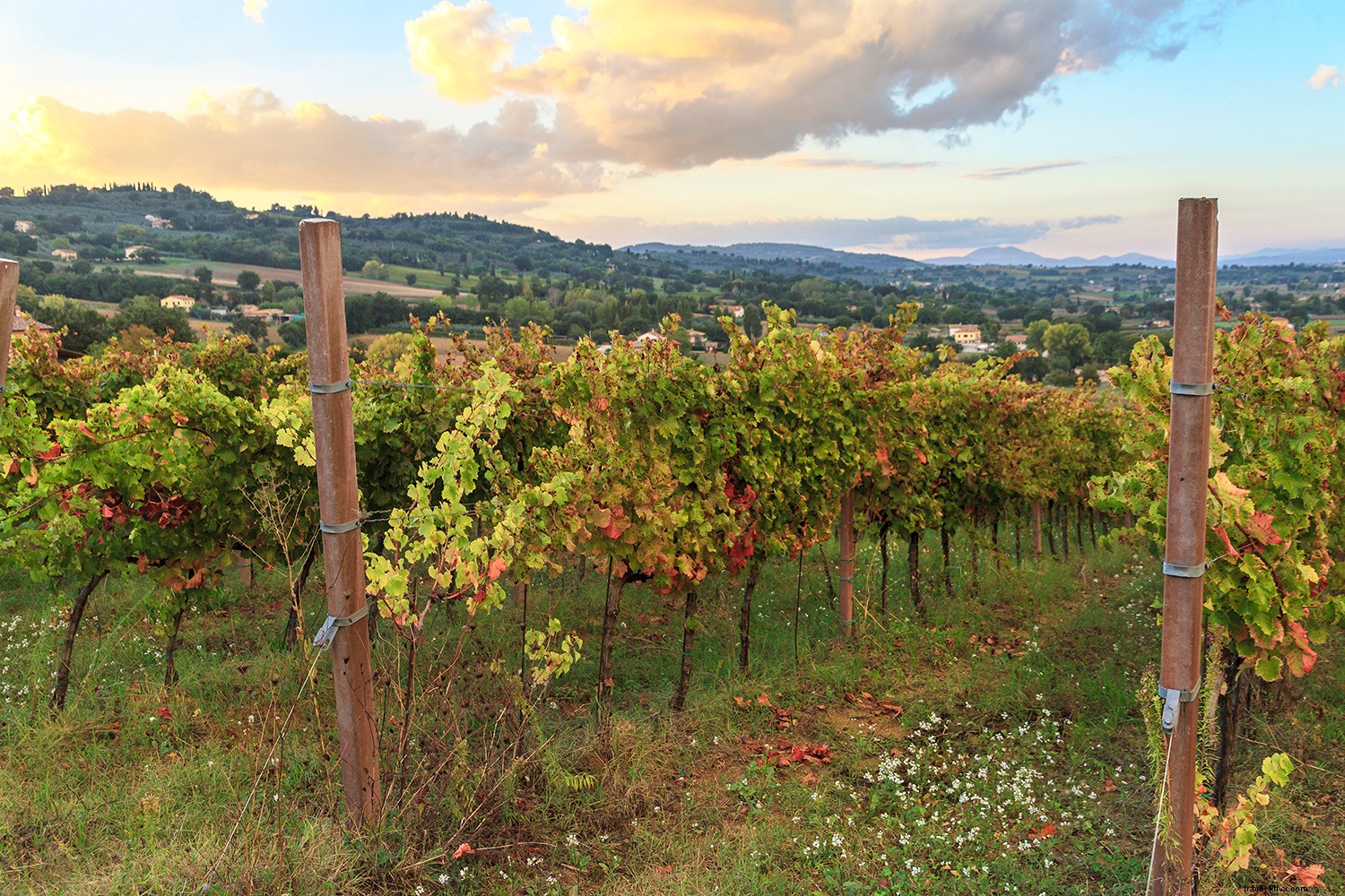 Top 6 Fall Destinations for Solo Travelers: Expert Recommendations