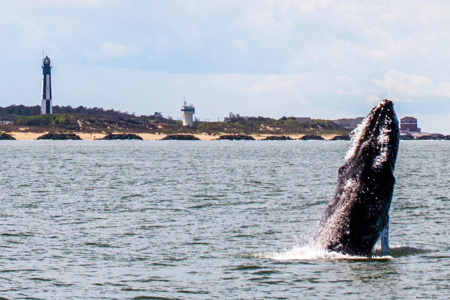 Top Whale Watching Destinations: Premier Spots Worldwide for Epic Sightings