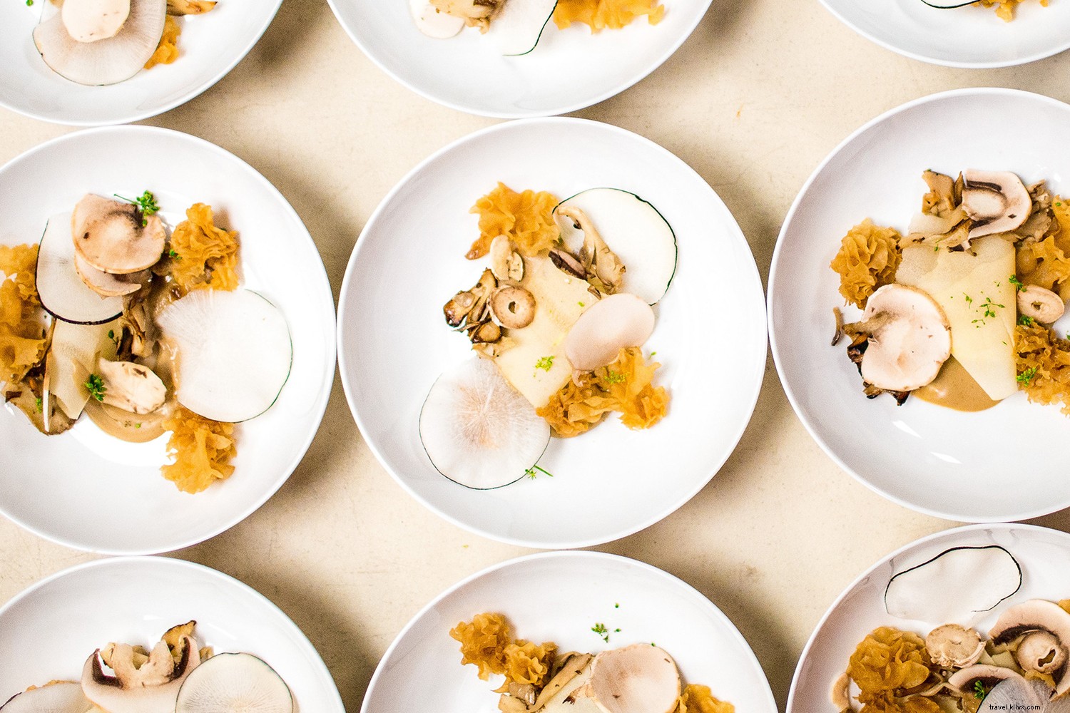 Eat, Drink, Love: Ultimate Fall Itineraries for Exploring Virginia