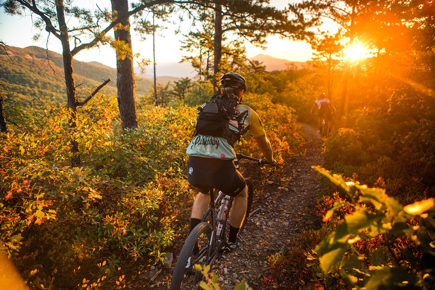 Eat, Drink, Love: Ultimate Fall Itineraries for Exploring Virginia