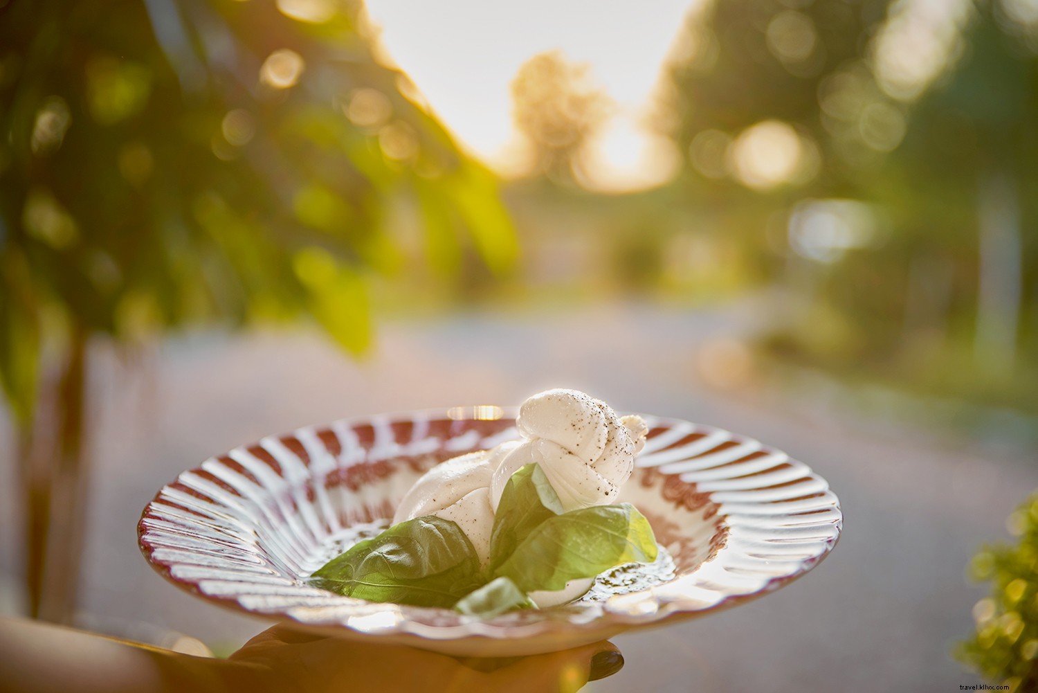 Italy s Ultimate Cheese Lover s Guide: Top 10 Regional Cheeses and Where to Taste Them