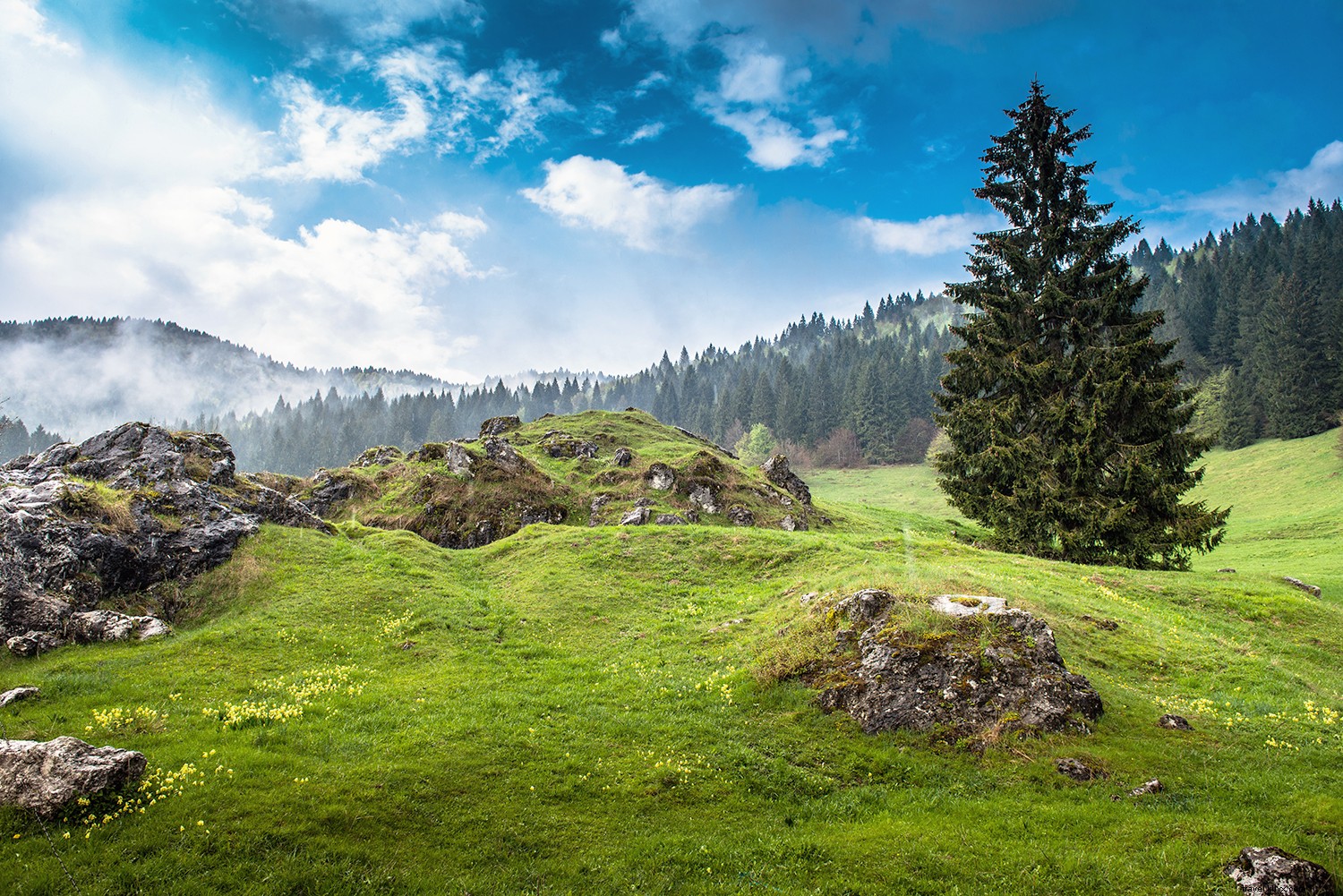 Italy s Ultimate Cheese Lover s Guide: Top 10 Regional Cheeses and Where to Taste Them