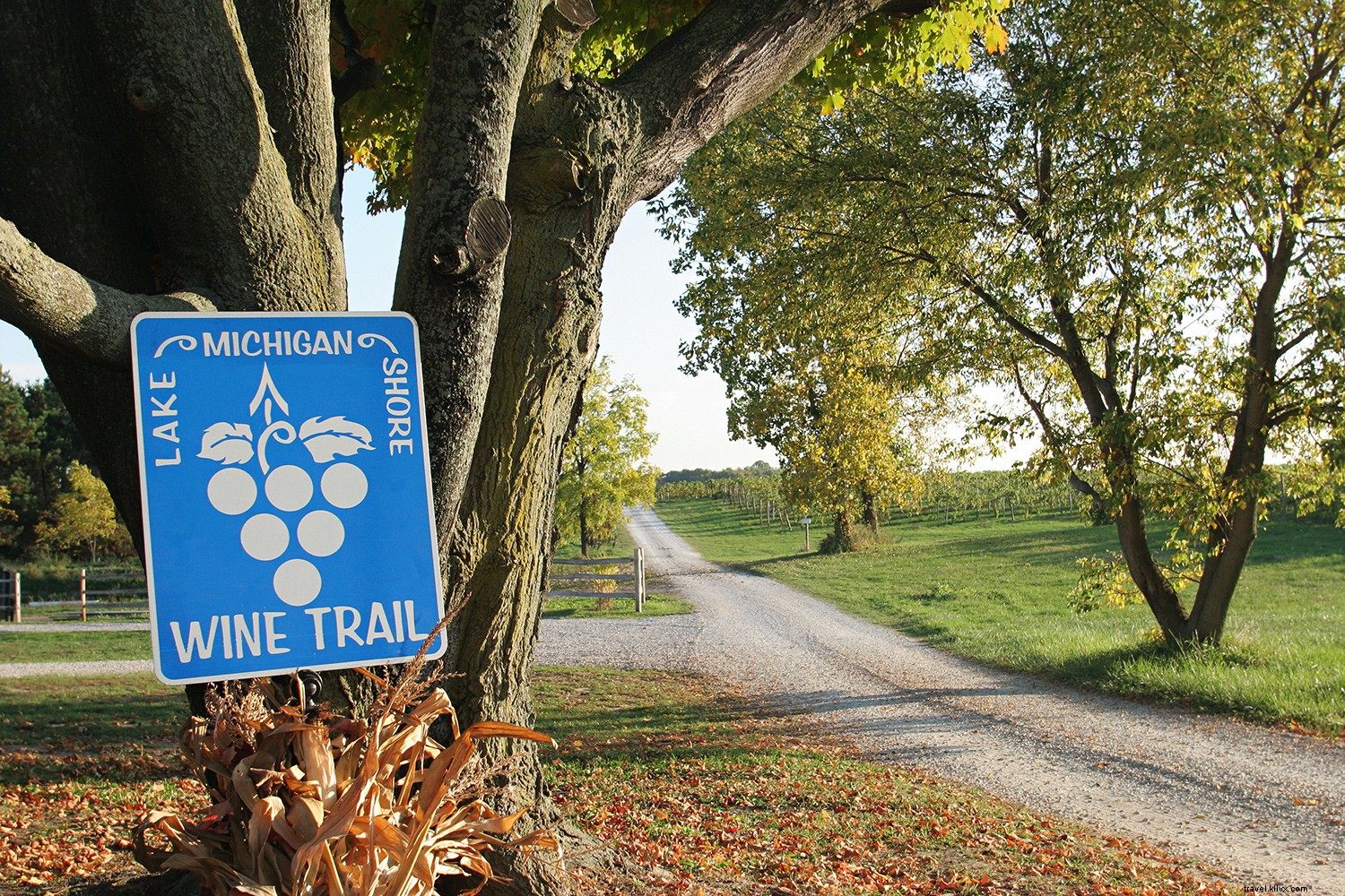 Top U.S. Wine Regions for an Unforgettable Fall Visit: Expert Recommendations