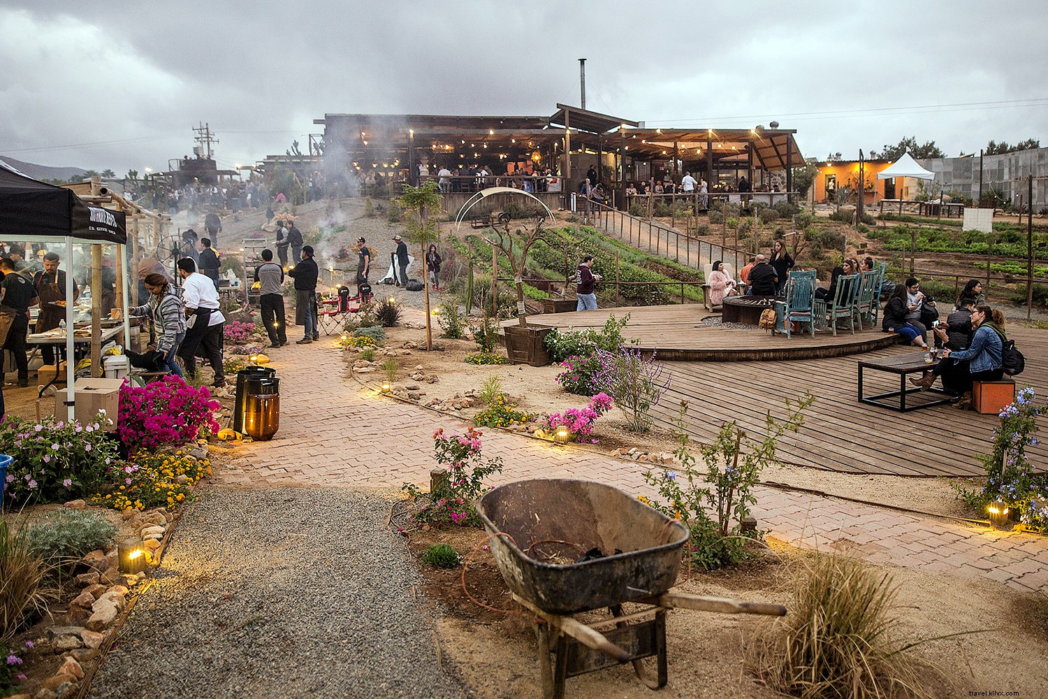 Top 7 Culinary Destinations and Food Festivals Around the World This Fall