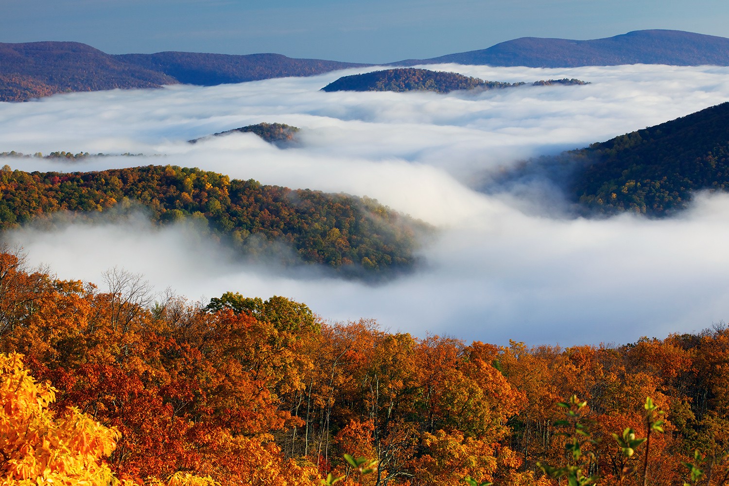 7 Best Places to See Stunning Fall Foliage in the Southern United States