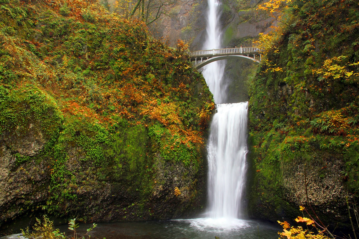 7 Stunning Spots for Fall Foliage in the Pacific Northwest