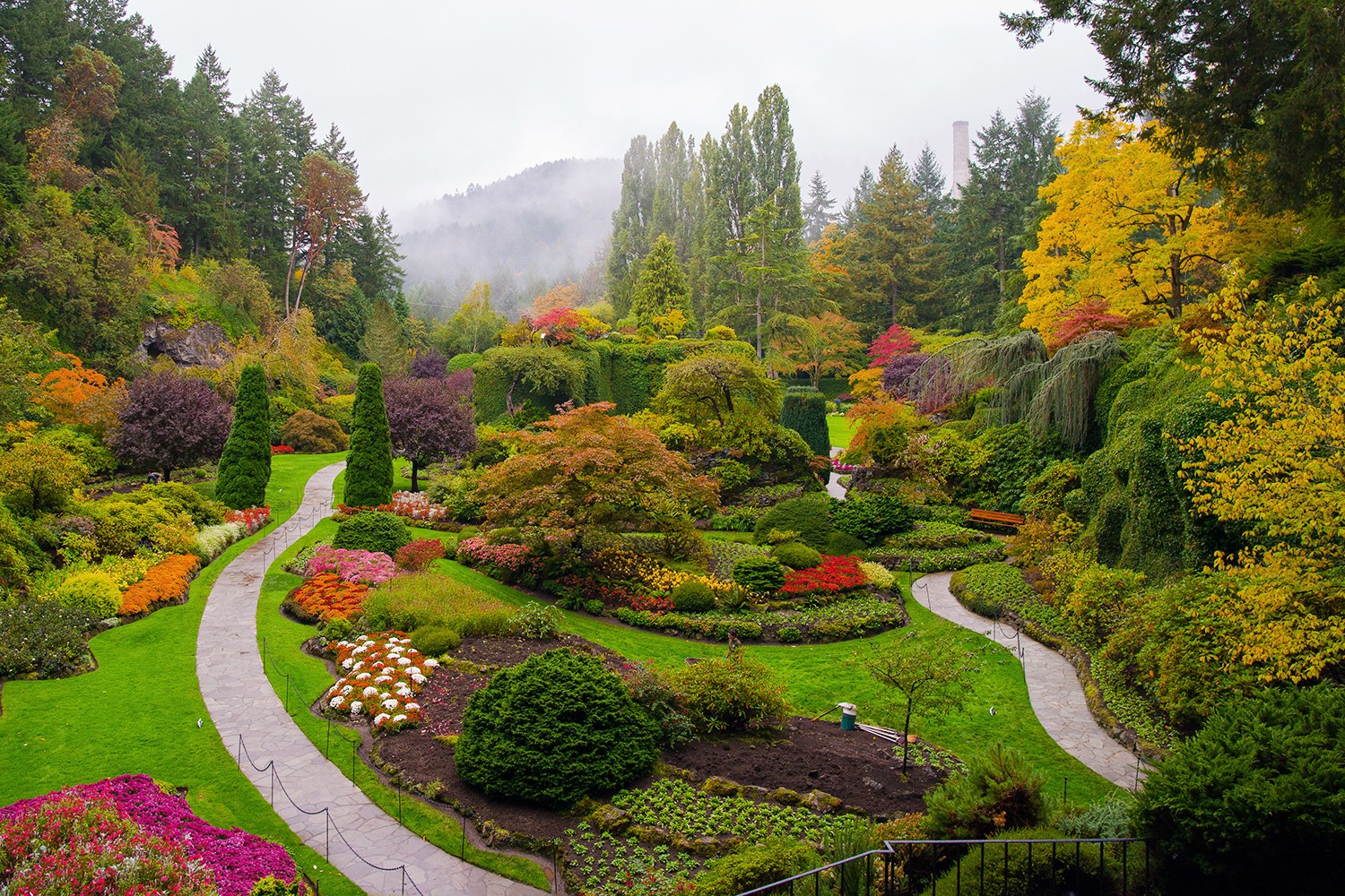 7 Stunning Spots for Fall Foliage in the Pacific Northwest