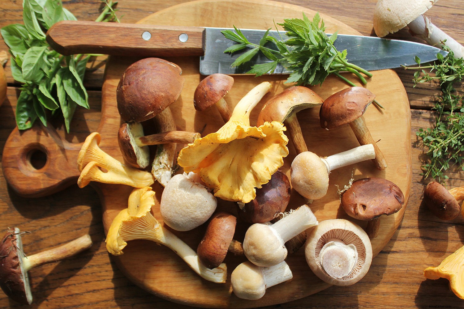 Autumn s Must-Try Regional Foods: Fall Harvest Highlights Across the U.S.