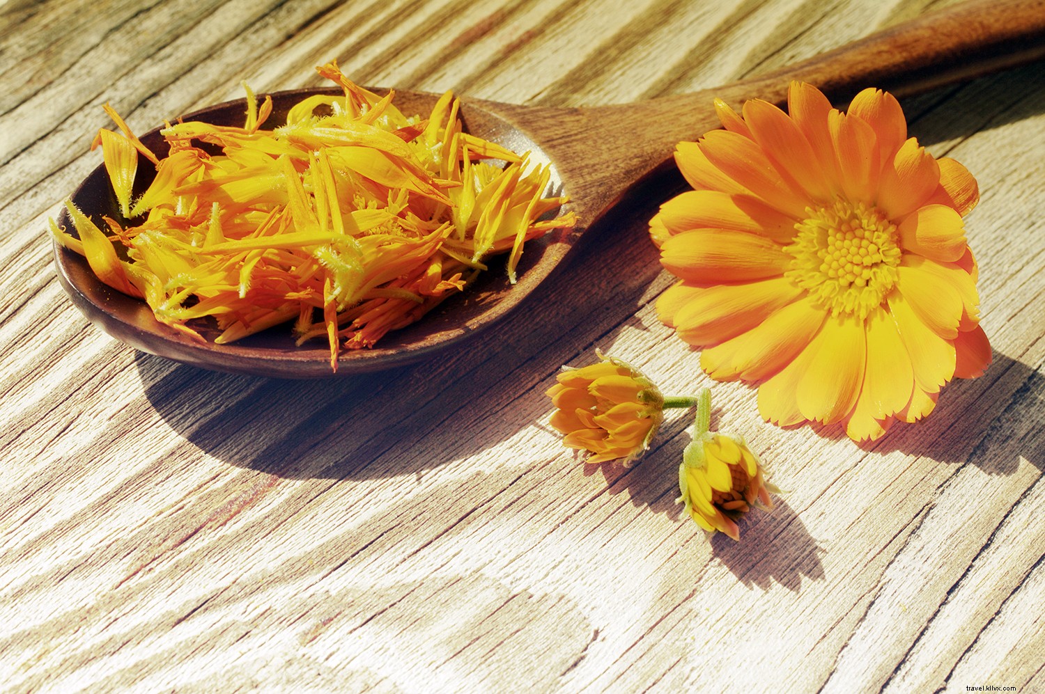 6 Trending Fall Ingredients Top Chefs Are Loving—And Why You Should Try Them