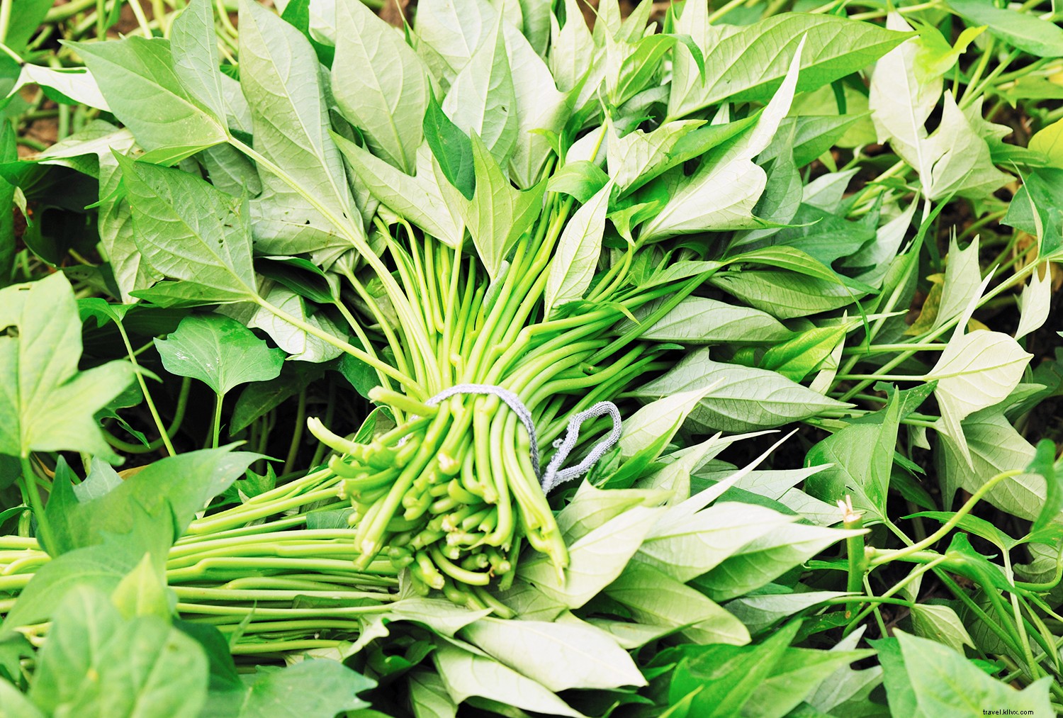 6 Trending Fall Ingredients Top Chefs Are Loving—And Why You Should Try Them