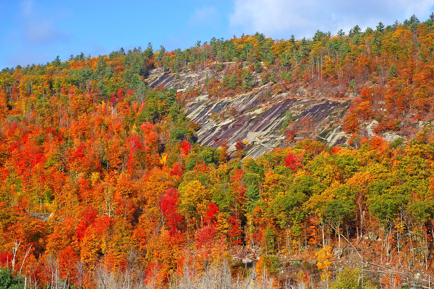 Top October Travel Destinations: Festivals, Foliage & Unmissable Experiences