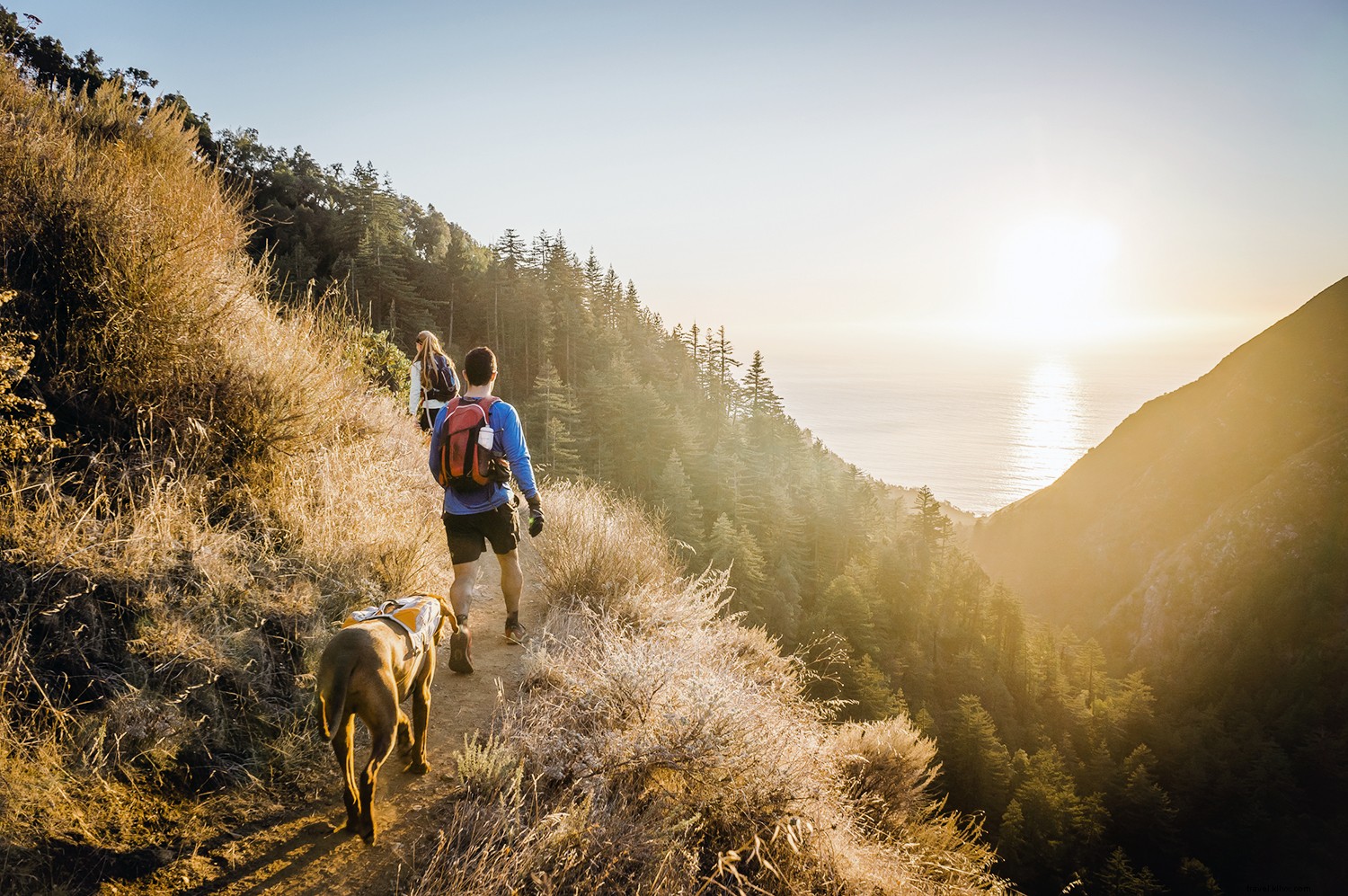 Ultimate California Road Trips: Iconic Drives from Big Sur to Yosemite