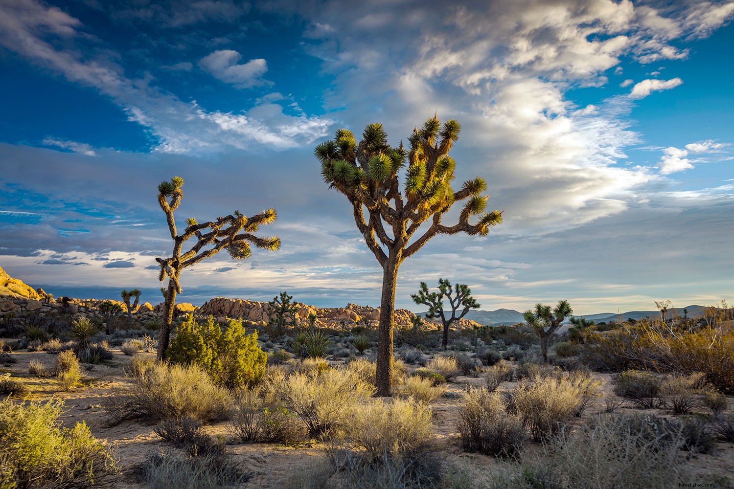 Ultimate California Road Trips: Iconic Drives from Big Sur to Yosemite