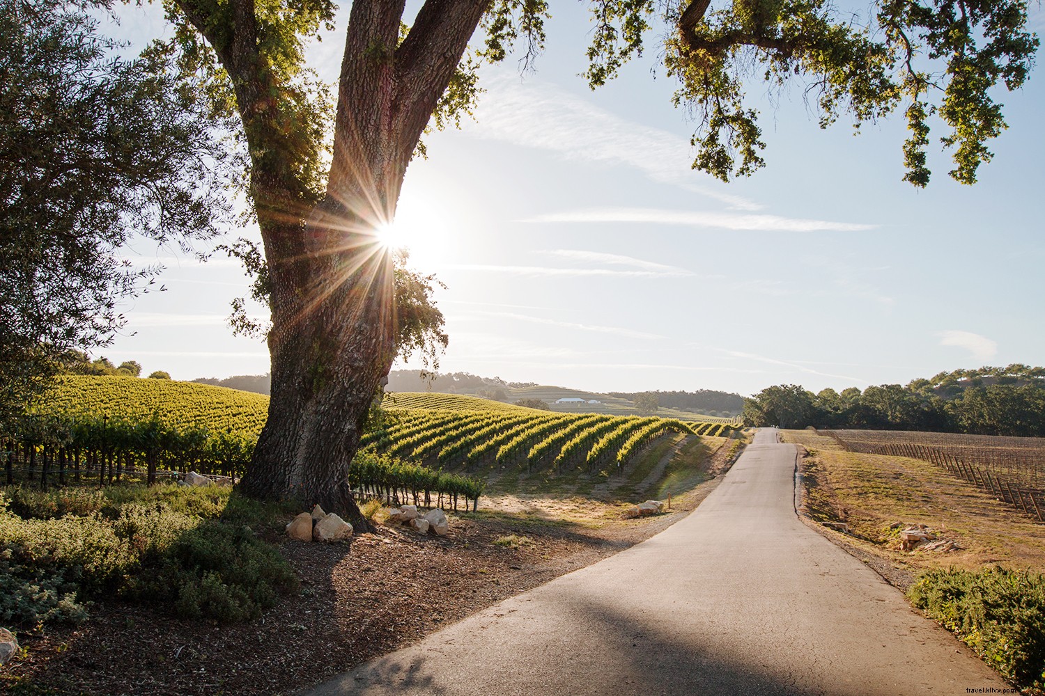 Ultimate California Road Trips: Iconic Drives from Big Sur to Yosemite