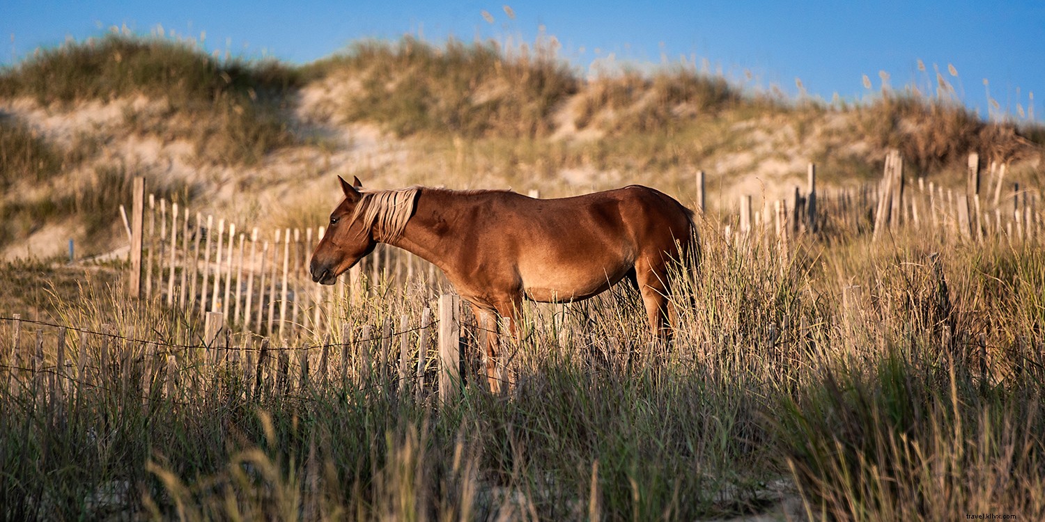 Top 4 Road Trips in the Southern United States: Epic Journeys for Food, Music, and Scenic Beauty