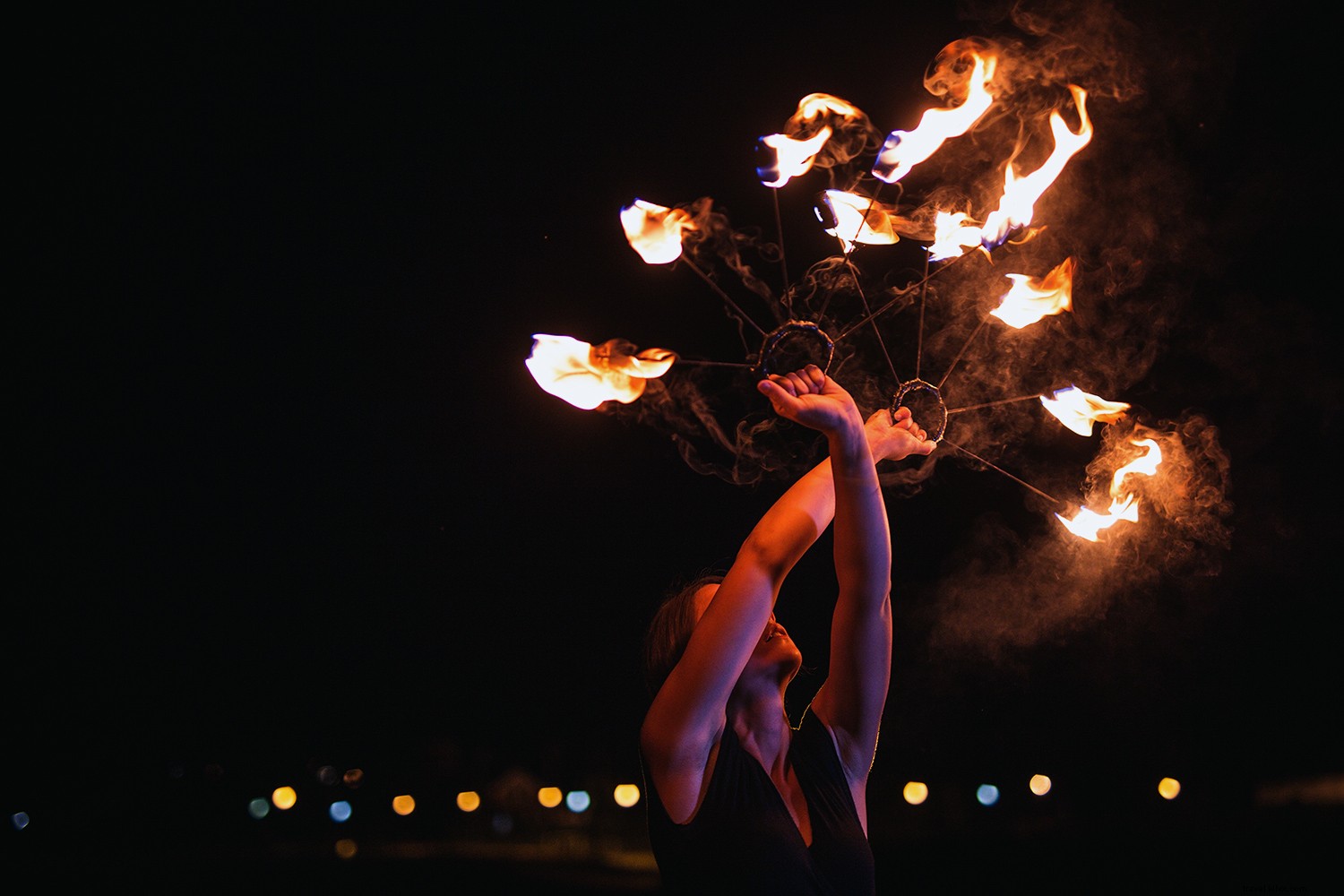 Savor True Paradise: The Ultimate Guide to Florida s Paradise Coast Dining