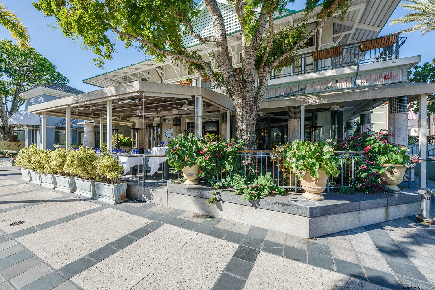 Savor True Paradise: The Ultimate Guide to Florida s Paradise Coast Dining