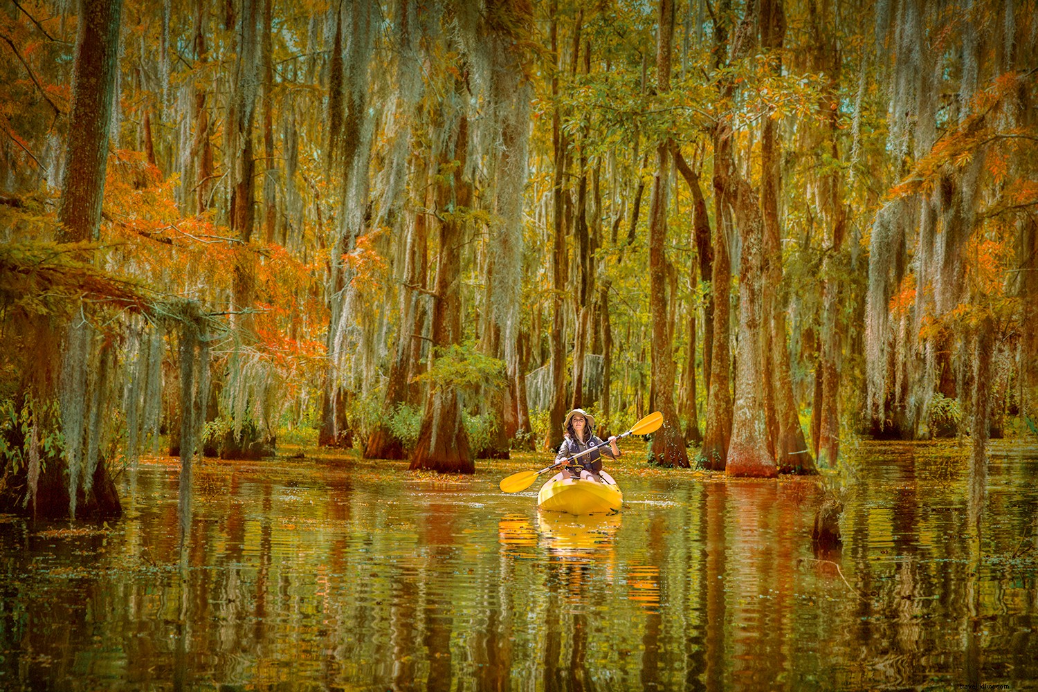 Why a Louisiana Vacation Stands Out: Unique Food, Festivals, Culture, and Nature